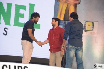 Krishna Gadi Veera Prema Gaadha Movie Audio Launch